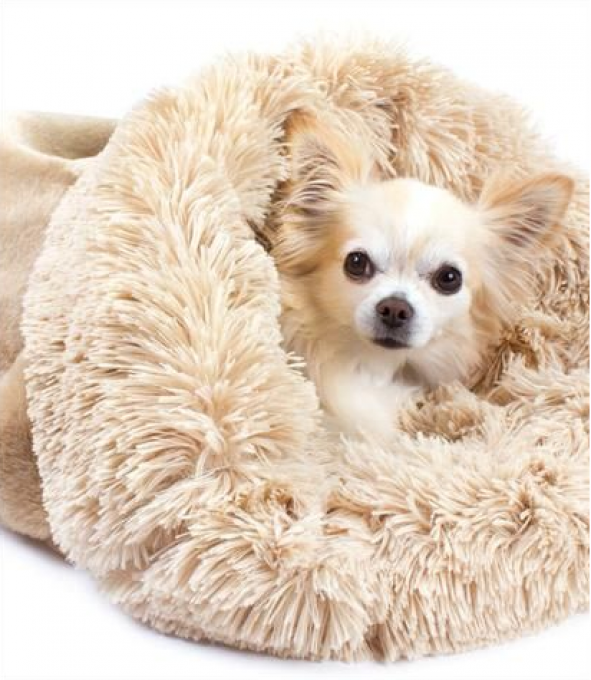 Cuddle Cup Susan Lanci Camel