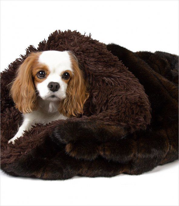 Cuddle Cup Susan Lanci Chocolate