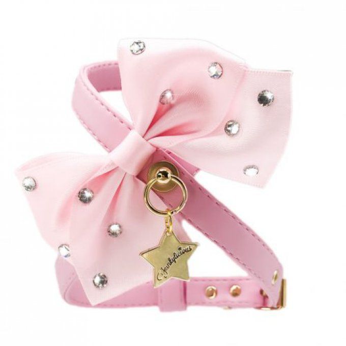 Harnais Funkylicious Swarovski Rose avec laisse